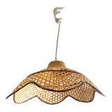 Canning suspension 1970