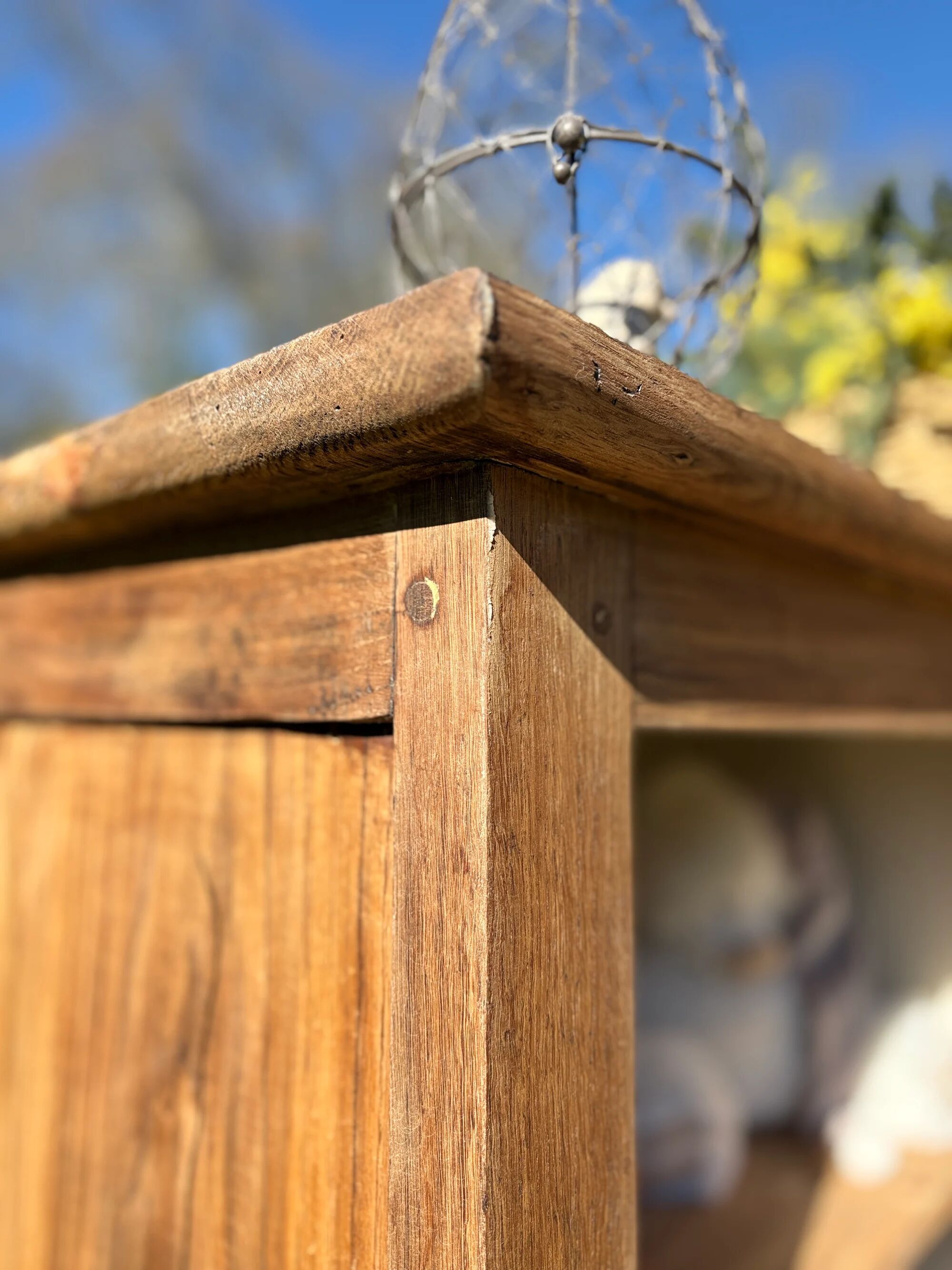 Bonnetière - Victorine