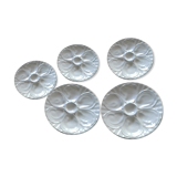 5 white slurries plates.  pillivuyt