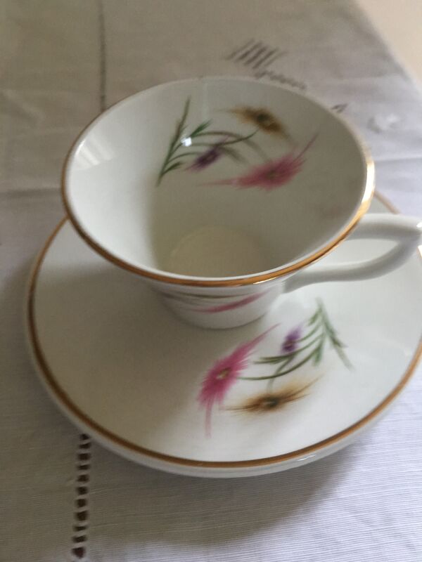 Service à café en porcelaine Serreguemines