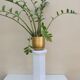 Cracked earthenware harness or column plant holder