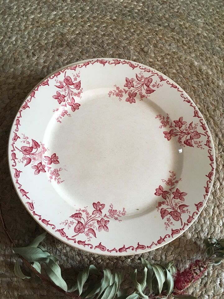 8 flat plates iron earth U&C Sarreguemines Digoin " Margot"