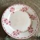 8 flat plates iron earth U&C Sarreguemines Digoin " Margot"