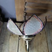 Wall lamp lampshade mother-of-pearl flower petal skin unique support