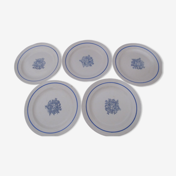 Set of 5 flat plates