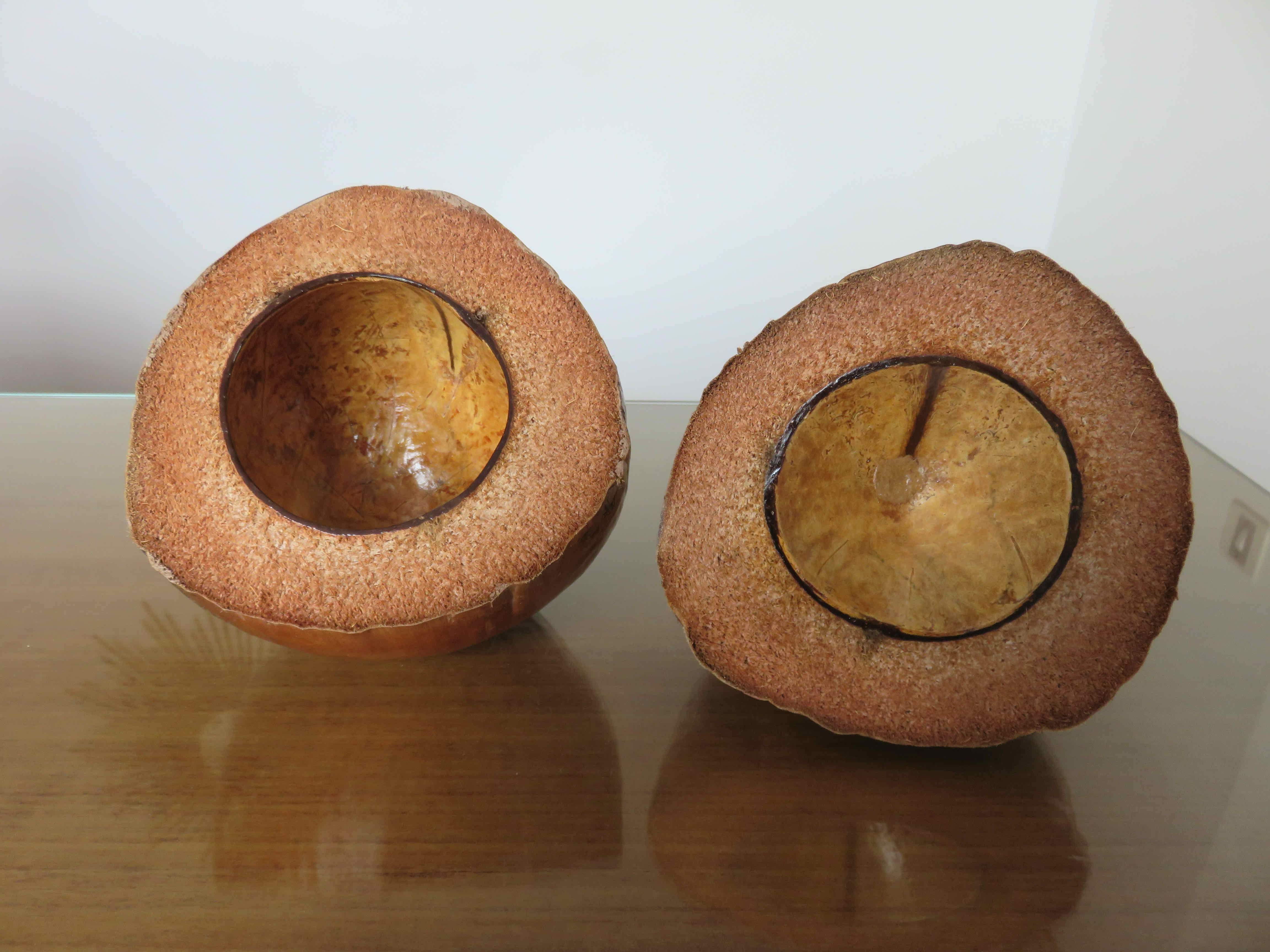 Naturalized coconut ice bucket 1970