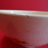 Cracked earthenware bowl Vallauris spring décor