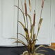 Reed lamp 1970