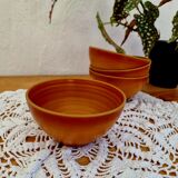 Set of 4 bowls Arcopal model Volcano