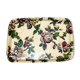 Plateau en fibre de verre