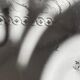 Black and white silver photography early twentieth century