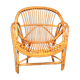 Adult rattan shell armchair