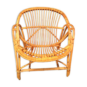 Adult rattan shell armchair