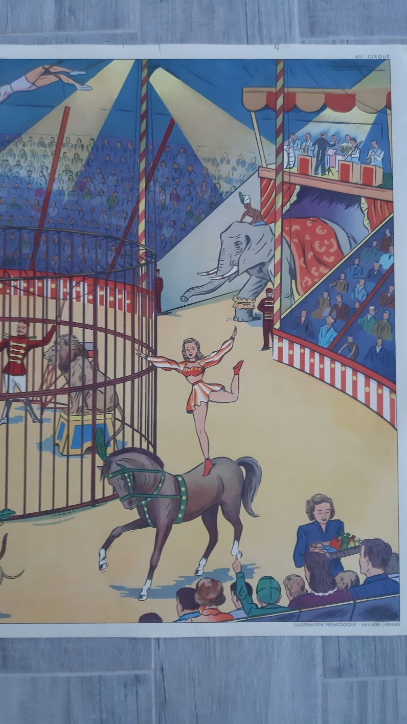 Affiche scolaire pédagogique Rossignol