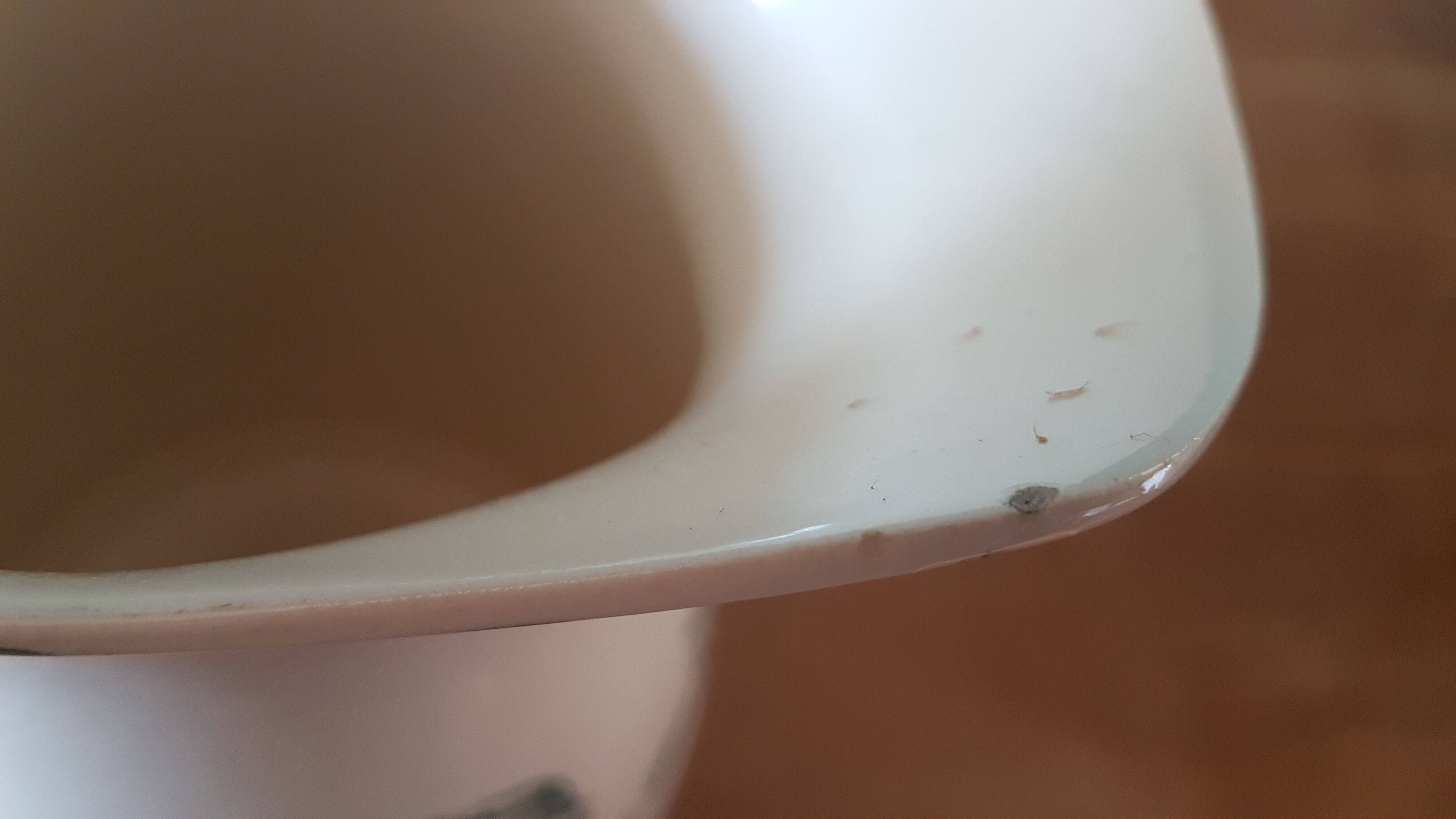 Gien earthenware pitcher