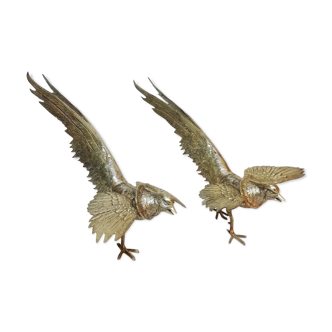 Bronze pheasants