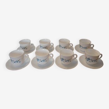 8 arcopal Veronica cups and their saucer
