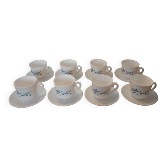 8 arcopal Veronica cups and their saucer