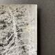 Photo argentique arbre mort devant lac n°4 bernard darot xxe