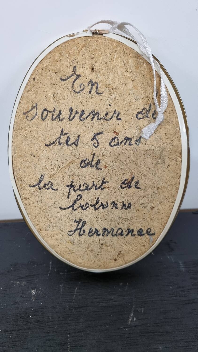 Beetle entomology box