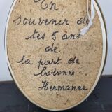 Beetle entomology box