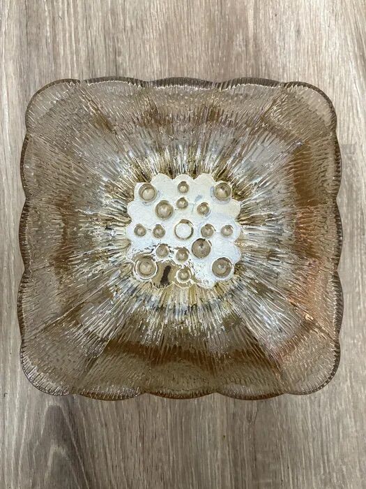 Vintage Glashütte Limburg Flower Glass Flush Light 1960s