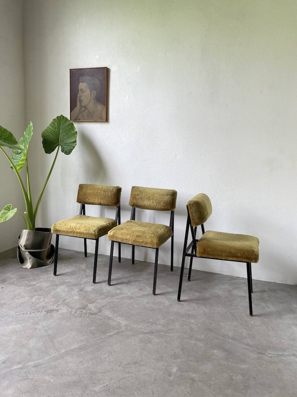 Set de trois chaises années 50