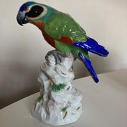 Perroquet en porcelaine de Saxe 19e signée
