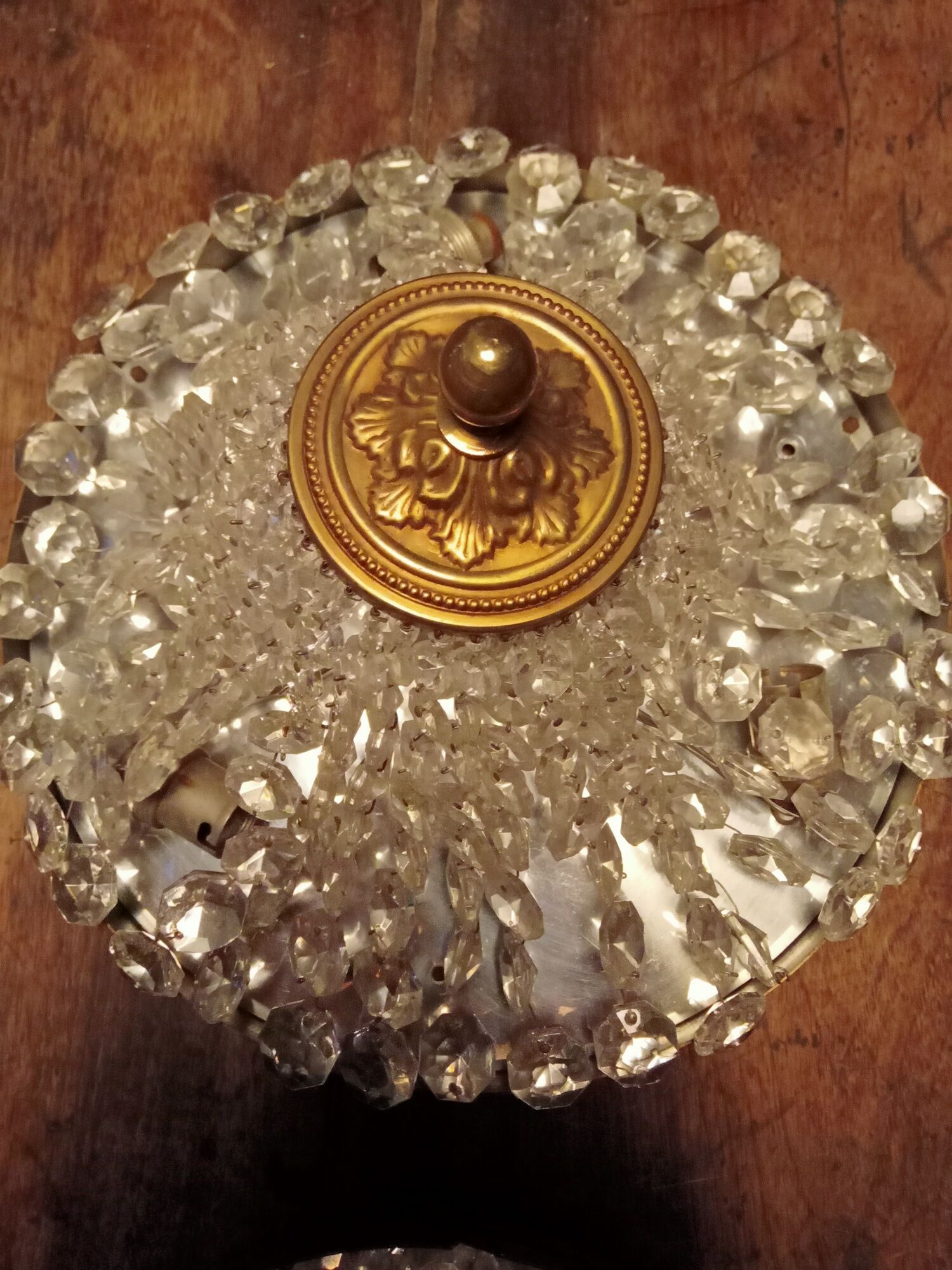 Two ceiling lamps with grapevines