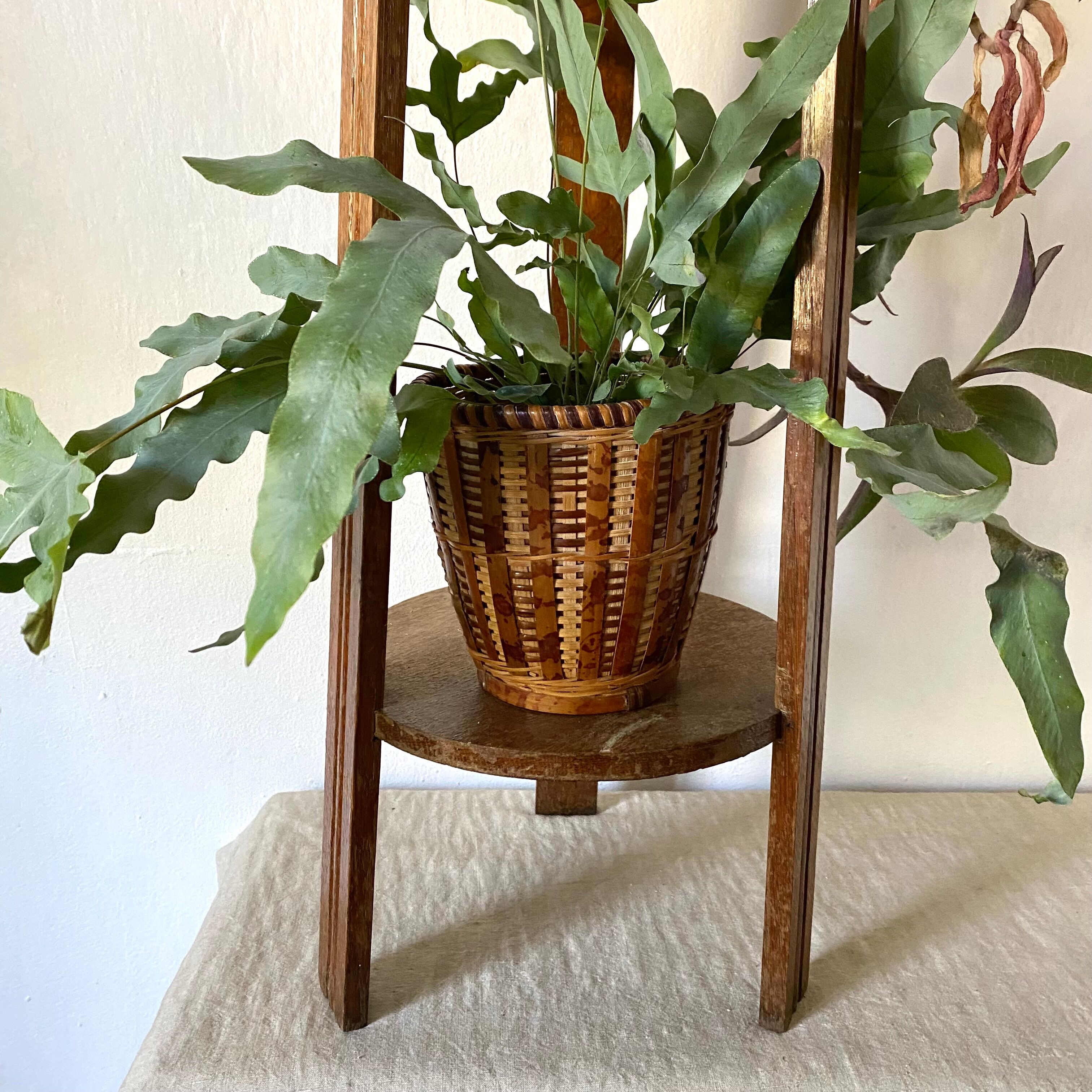 Plant holder fifth wheel