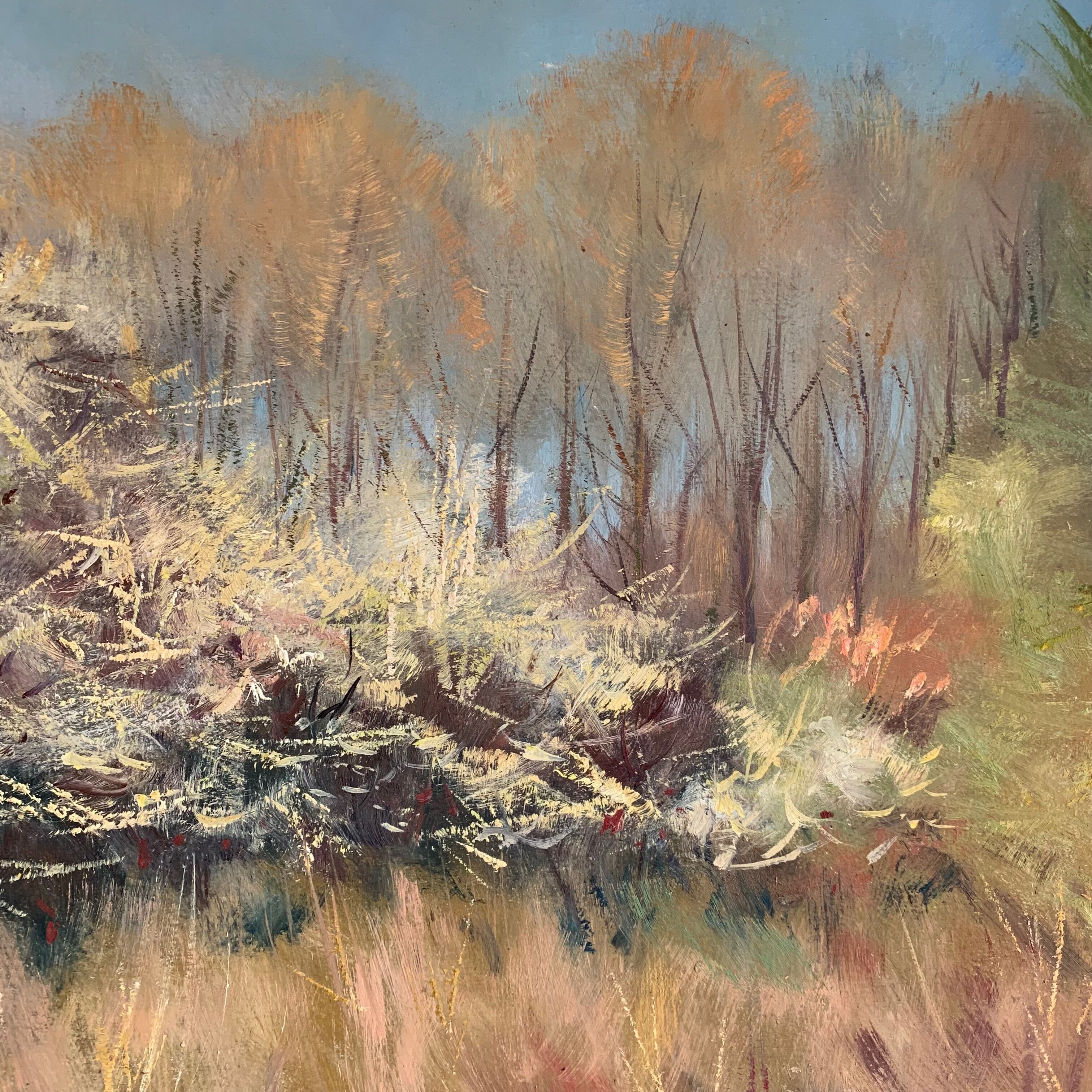Peinture paysage de Tony Reniers