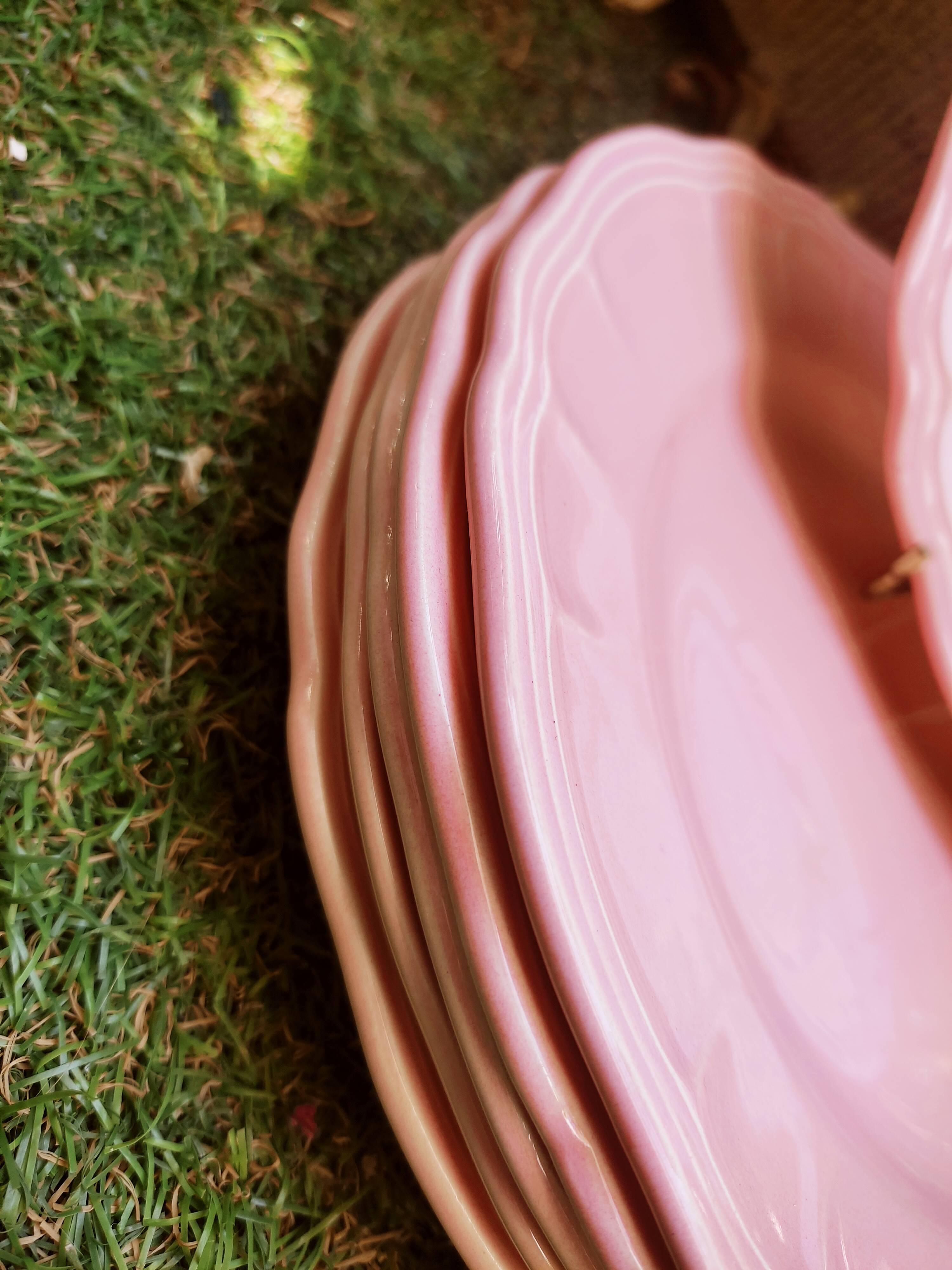 6 Salins plates in Provençal style earthenware