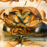 🔎 Vintage Poster from the early 20th century Paul Pfurtscheller Zoological Wall Chart Chafer