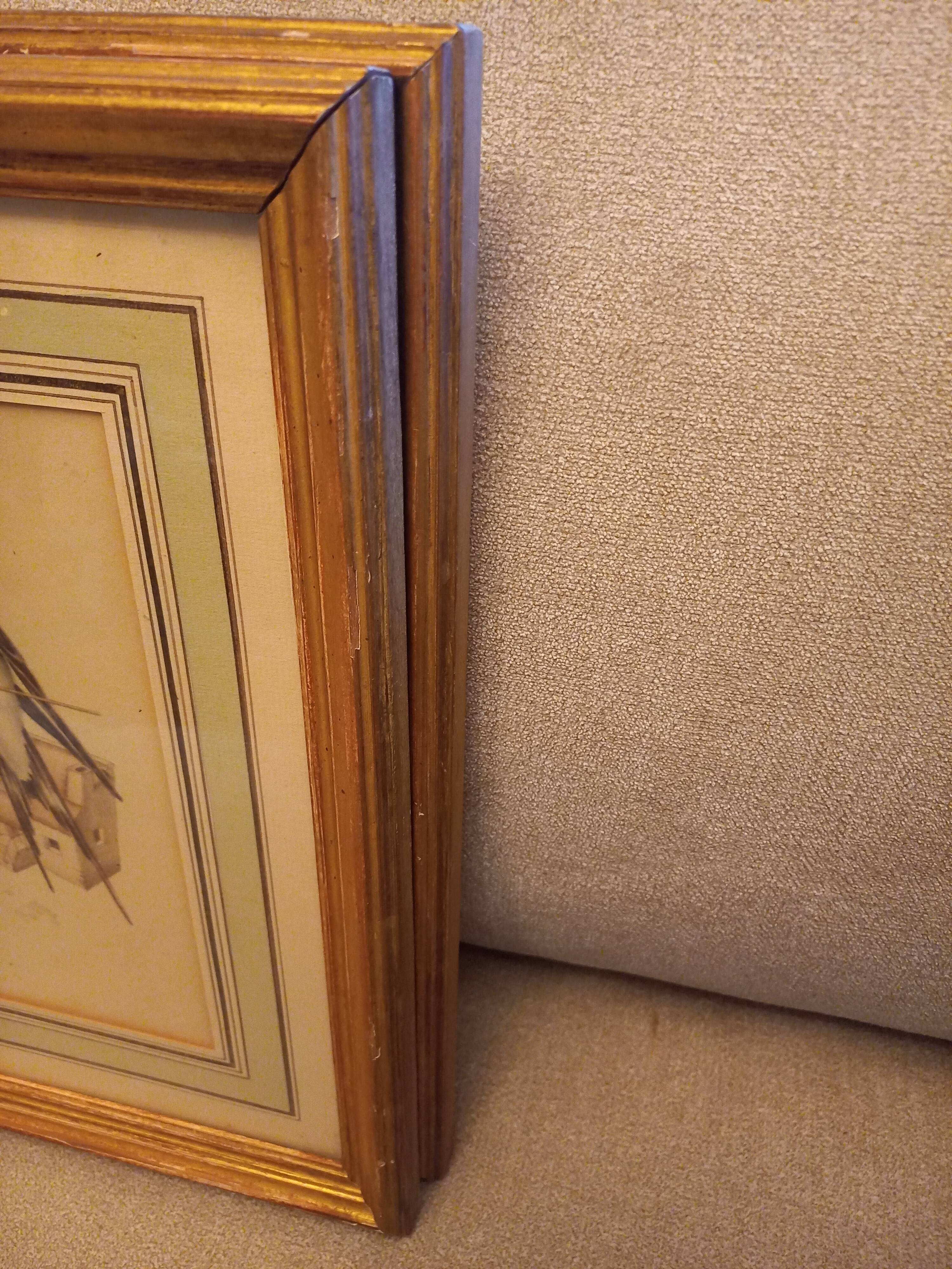 Lot 2 watercolors ancient birds