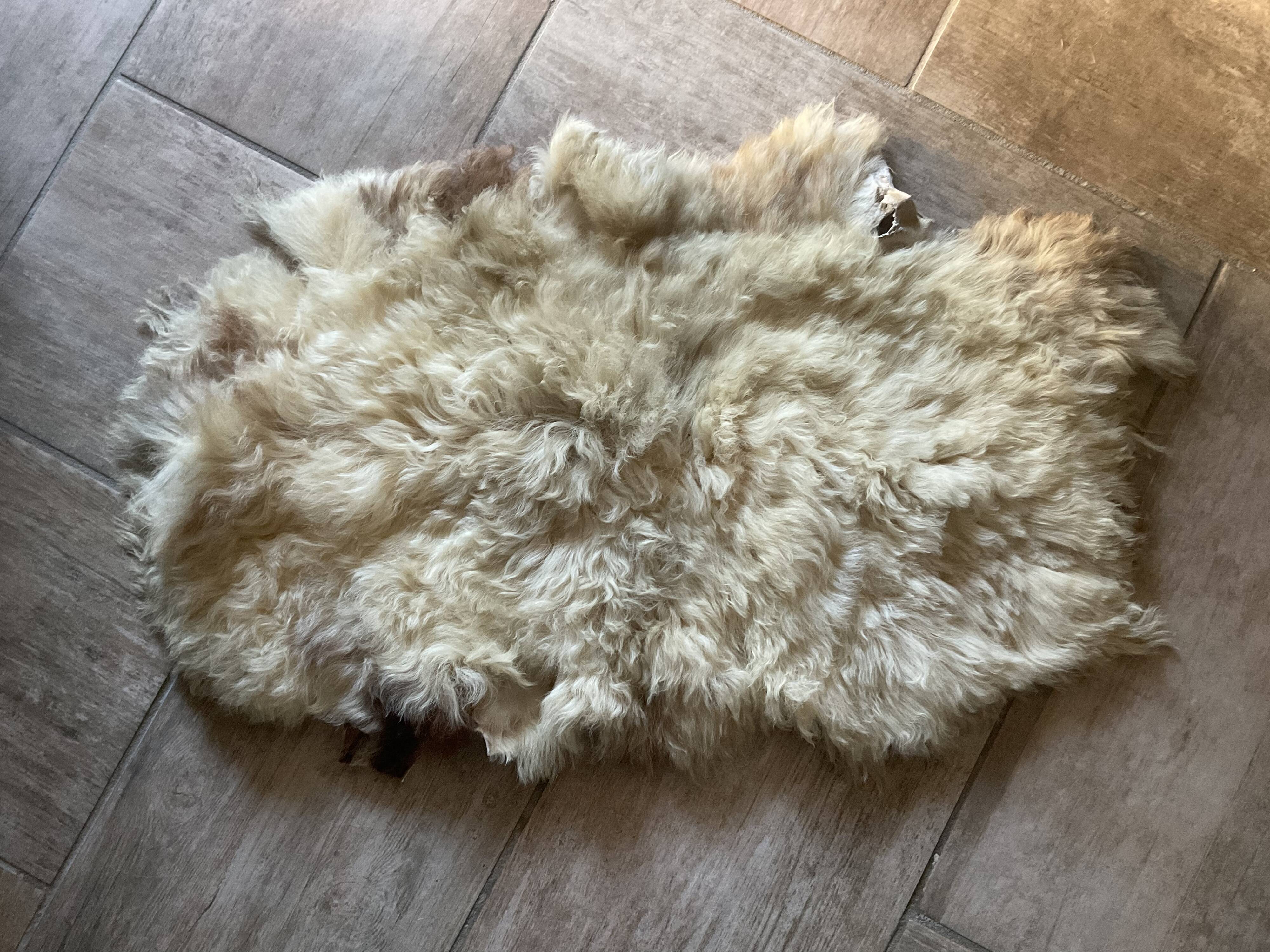 Sheep skin or angora goat