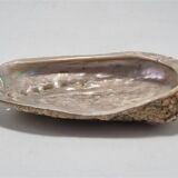 Shell-shaped catchall