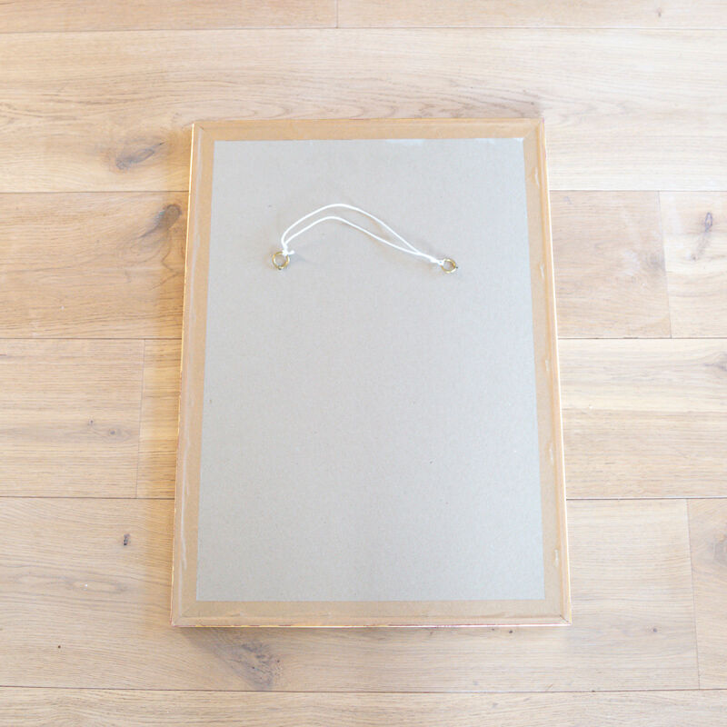 Poster plank botanical engraving rose of provins by Gerard Van spaedonck