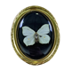 Butterfly under curved frame