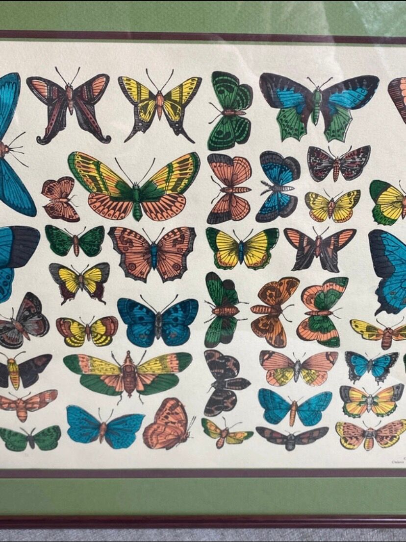 Affiche, planche papillons par l’imagerie d’Epinal