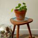 Formica tripod plant holder