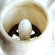 Alabaster and brass lamp, home decor light fixture with alabaster shade.