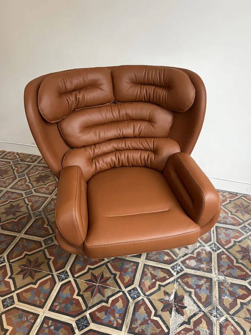 Elda lounge fauteuil– Joe Colombo, Longhi