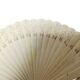 Art Nouveau celluloid fan, 1900s