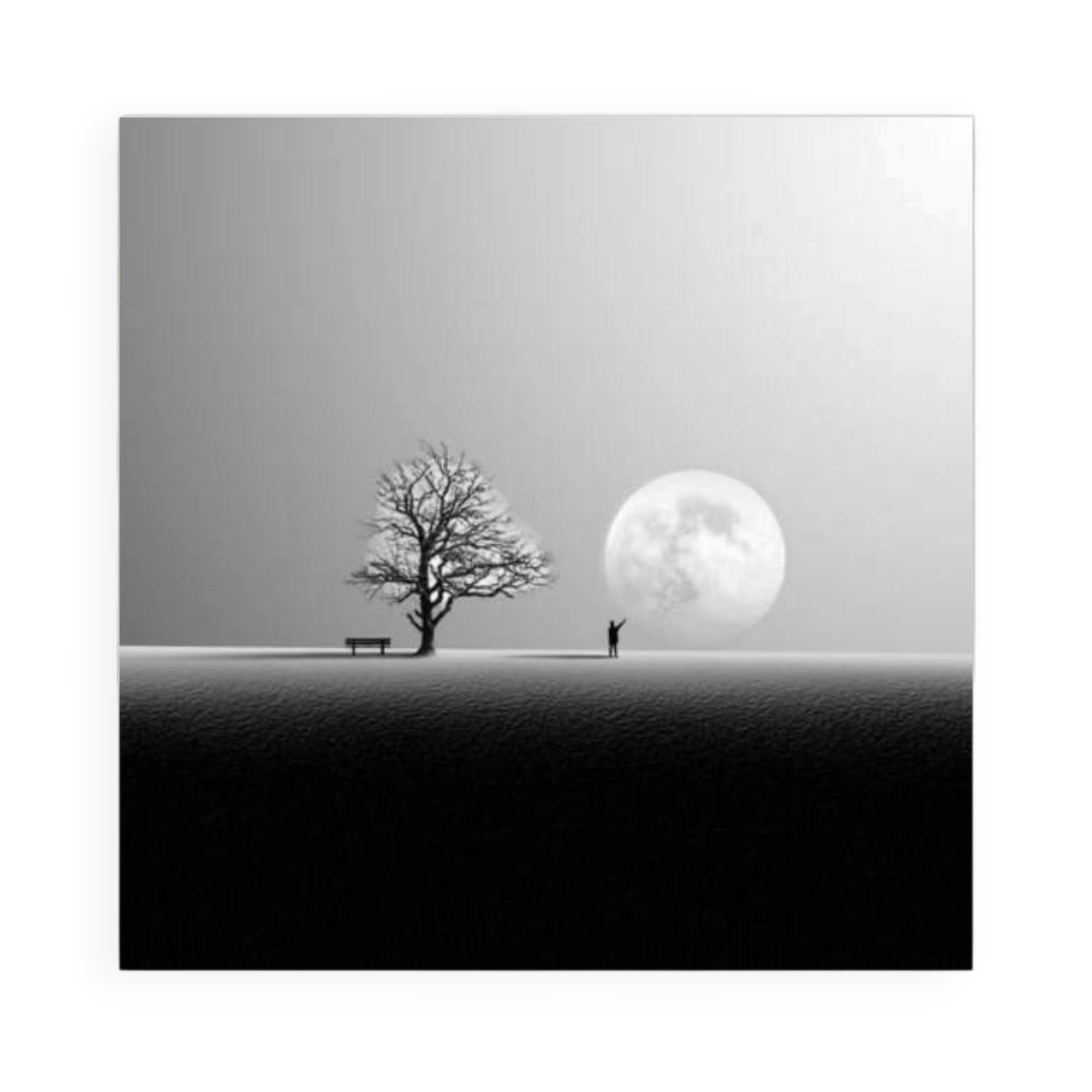 Nature photo
