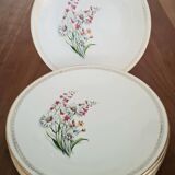 Vintage Floral Pattern Gien Earthenware Dinner Plates