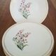 Vintage Floral Pattern Gien Earthenware Dinner Plates