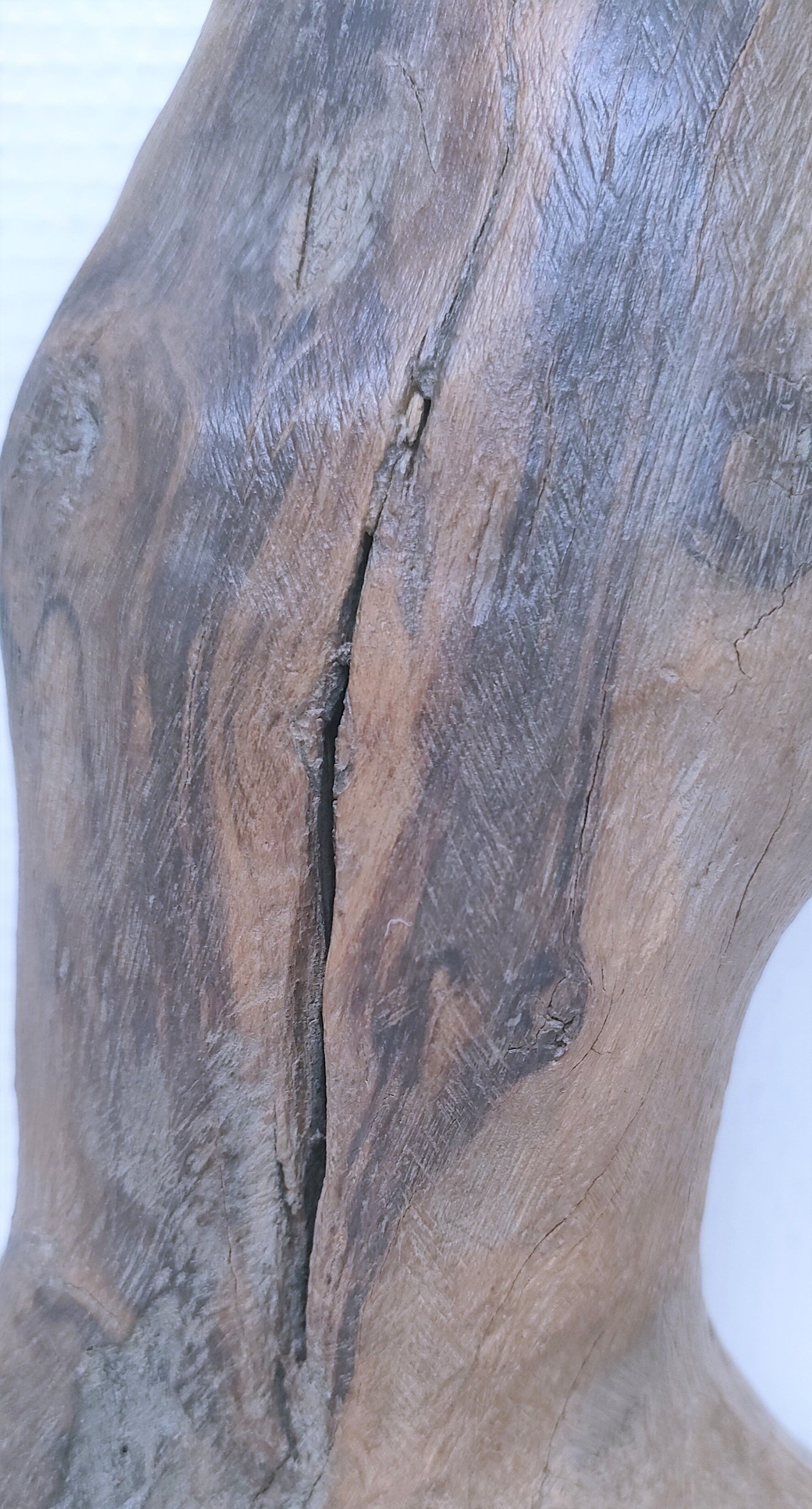 Brutalist solid patinated wood lamp foot