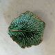 Cabbage leaf in Sarreguemines slip