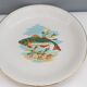 Plate fish service Sarreguemines