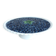 Pie dish on foot, in slip with blackberry decoration